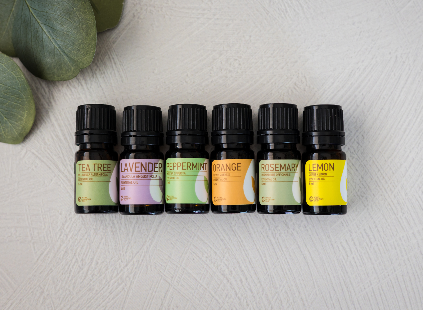 Essential Oils to Repel Flies: Keep Your Home Bug-Free