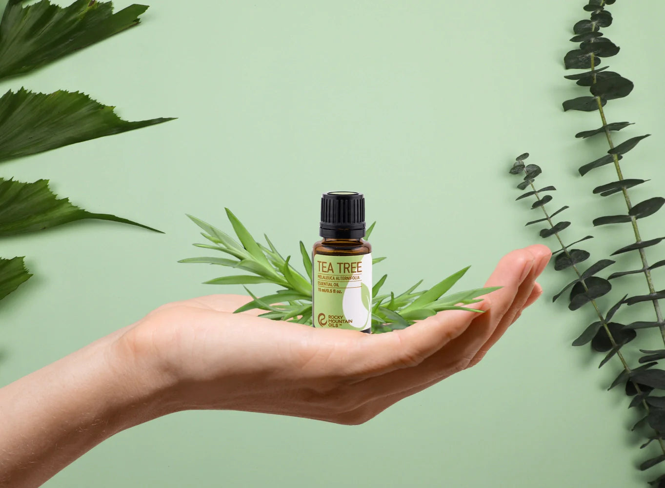 Where to Buy Essential Oils: Trusted Sources