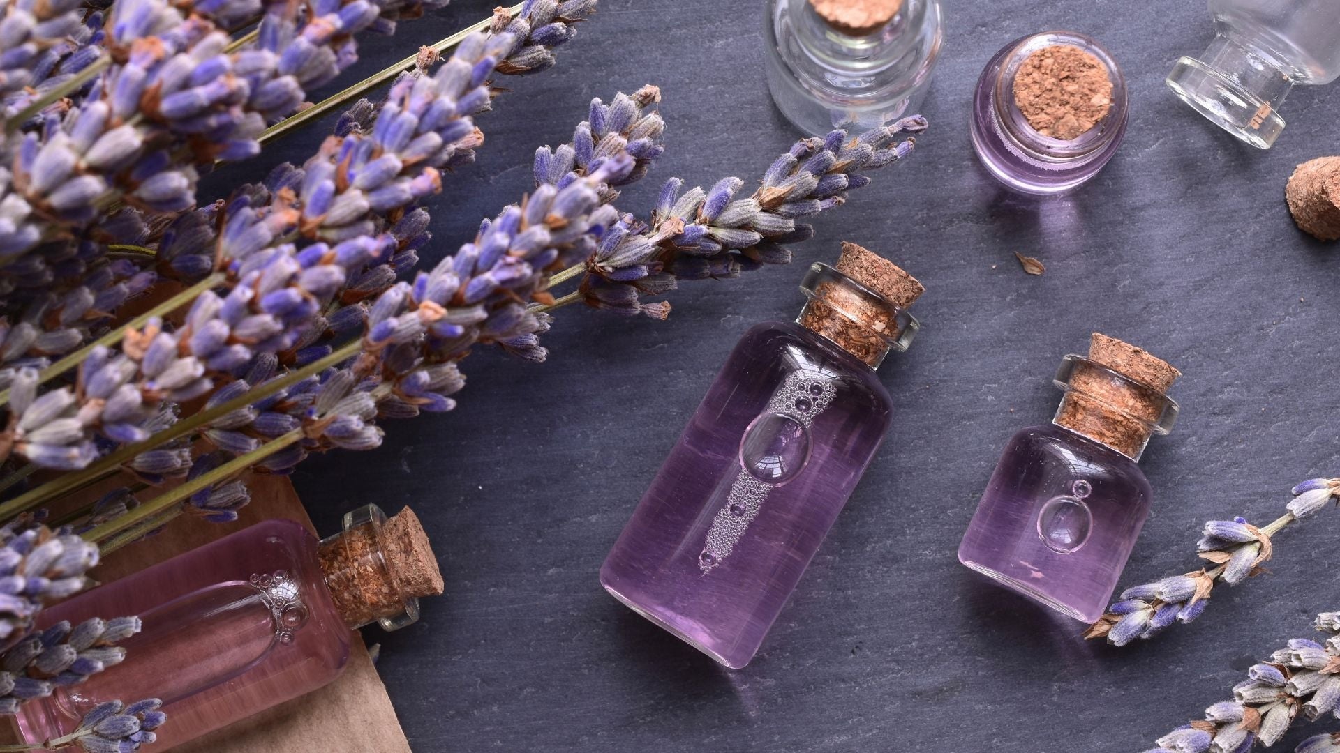 Embrace Relaxation: Lavender Essential Oil Benefits Explored