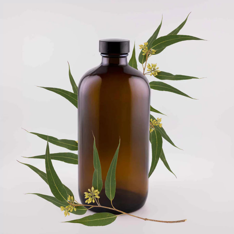 Eucalyptus citriodora Essential Oil - 16oz