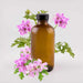 Geranium Essential Oil - 8oz