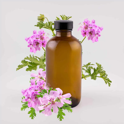 Geranium - 8oz