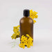 Helichrysum italicum - 4oz