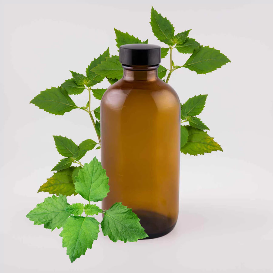 Patchouli Essential Oil - 8oz