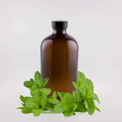 Peppermint Essential Oil - 16oz