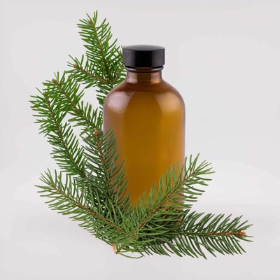 Spruce Essential Oil - 8oz